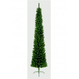 Green Pencil Pine Tree 2M