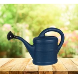 1L Blue Watering Can