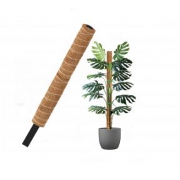 Moss Poles 60cm