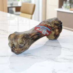 Dinosaur Dog Bone