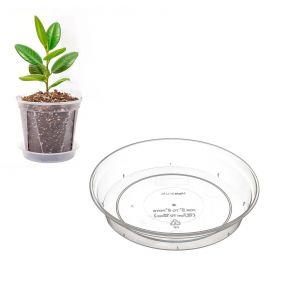 Clear Orchid Pot Saucer