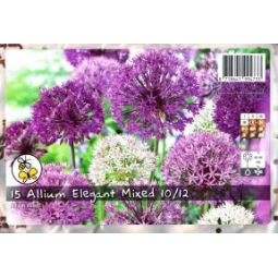 Allium Bulbs Elegant Mixed