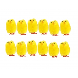 12 Mini Chicks